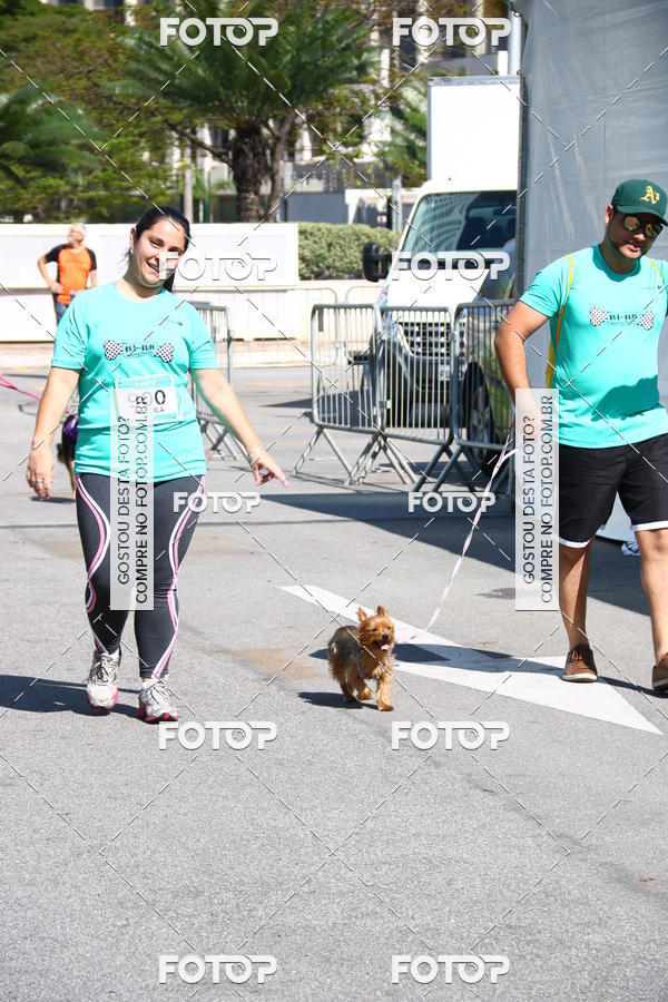 Buy your photos of the event2� Pet Run Shopping Eldorado  on Fotop
