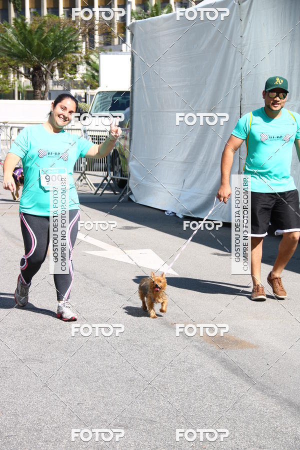 Buy your photos of the event2� Pet Run Shopping Eldorado  on Fotop