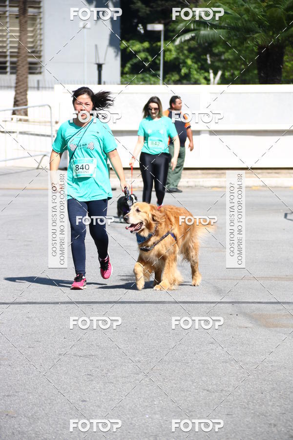 Buy your photos of the event2� Pet Run Shopping Eldorado  on Fotop