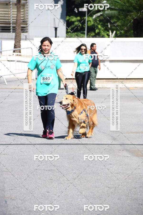 Buy your photos of the event2� Pet Run Shopping Eldorado  on Fotop