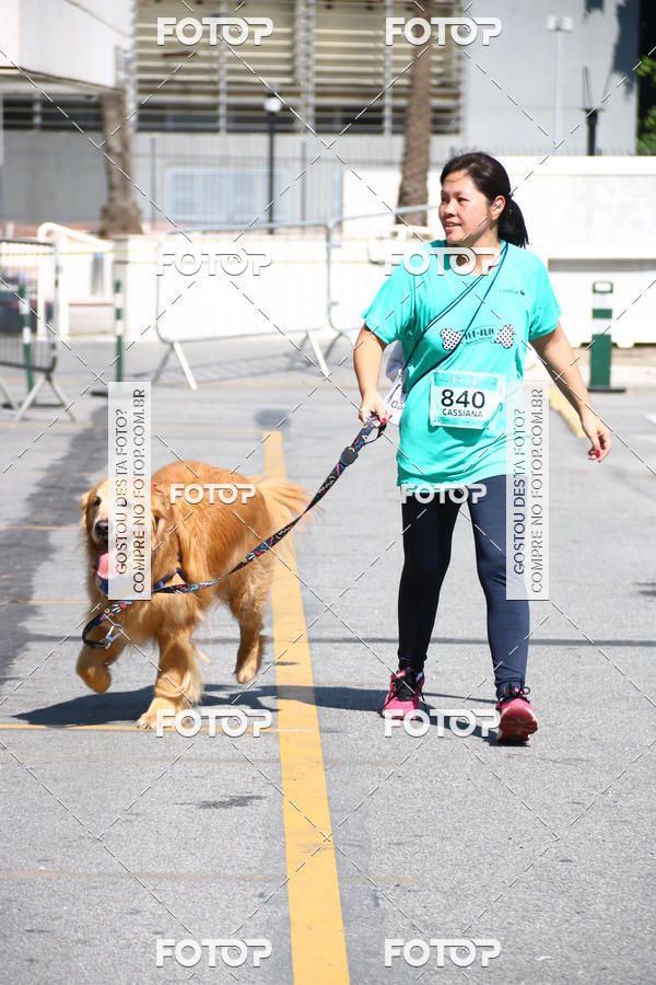 Buy your photos of the event2� Pet Run Shopping Eldorado  on Fotop