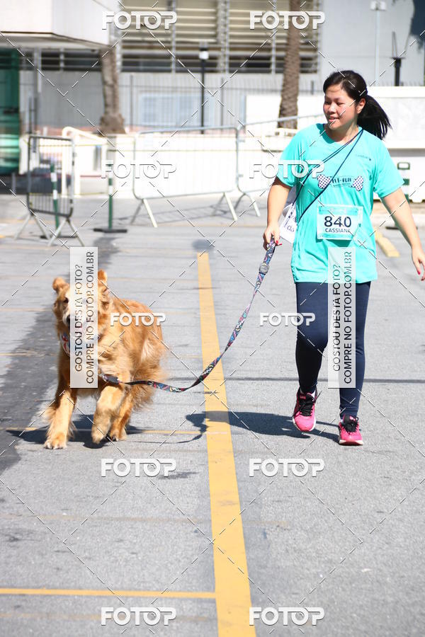 Buy your photos of the event2� Pet Run Shopping Eldorado  on Fotop