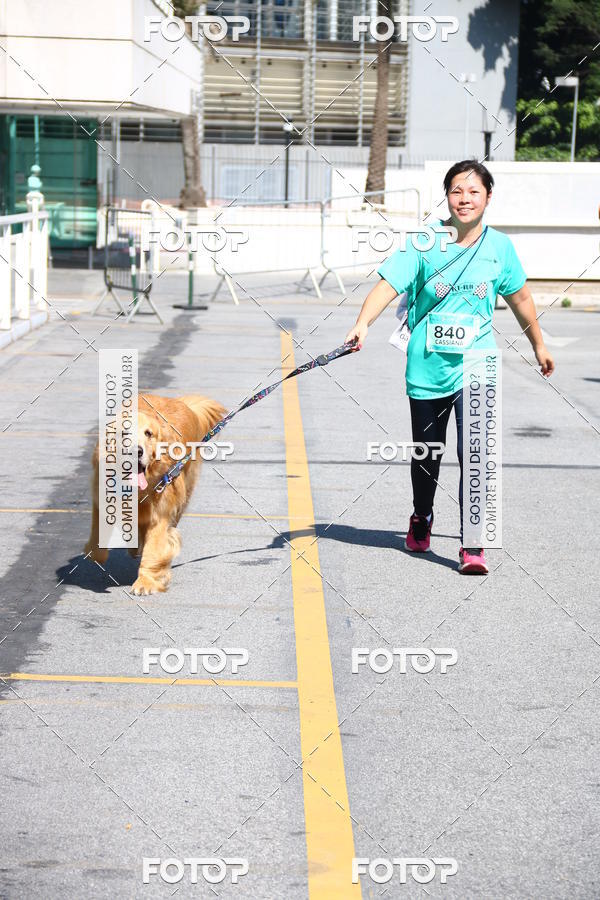 Buy your photos of the event2� Pet Run Shopping Eldorado  on Fotop