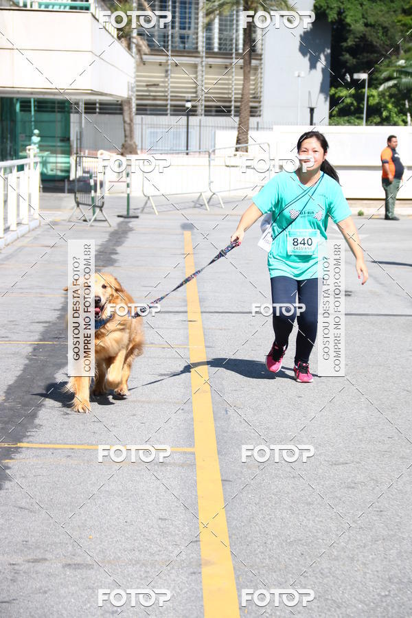 Buy your photos of the event2� Pet Run Shopping Eldorado  on Fotop