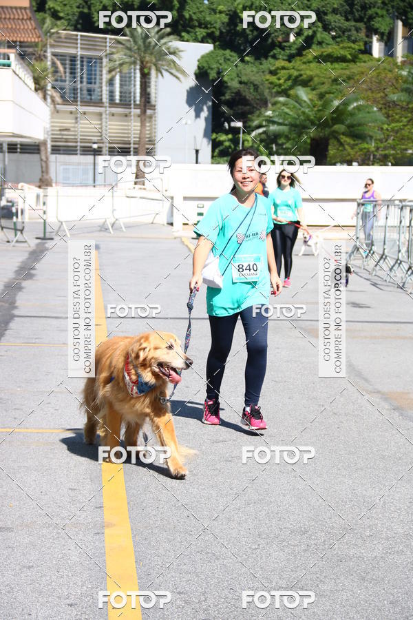 Buy your photos of the event2� Pet Run Shopping Eldorado  on Fotop