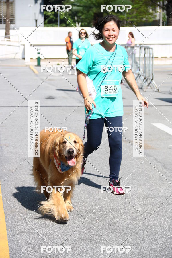 Buy your photos of the event2� Pet Run Shopping Eldorado  on Fotop