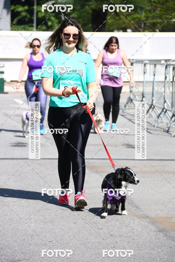 Buy your photos of the event2� Pet Run Shopping Eldorado  on Fotop