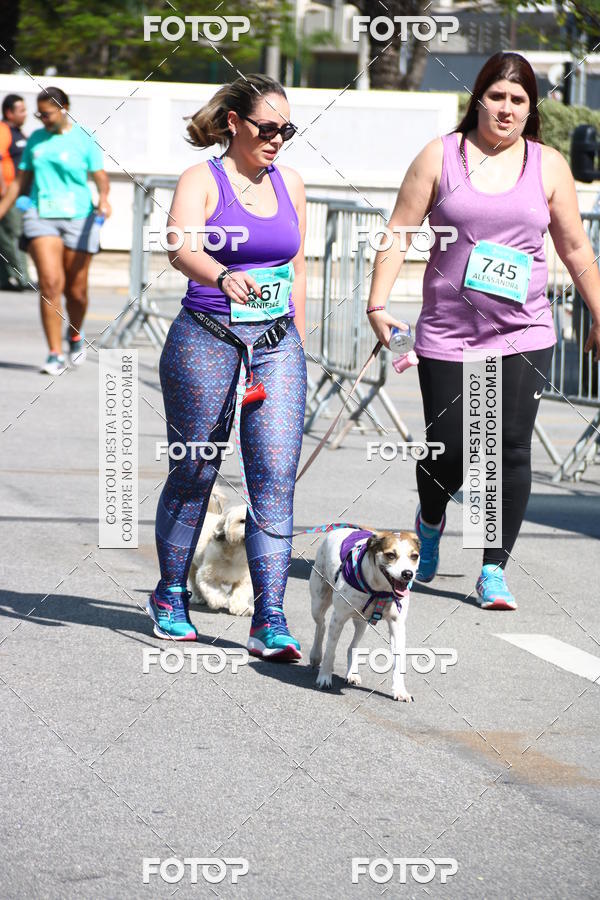 Buy your photos of the event2� Pet Run Shopping Eldorado  on Fotop