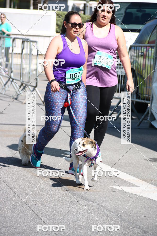 Buy your photos of the event2� Pet Run Shopping Eldorado  on Fotop