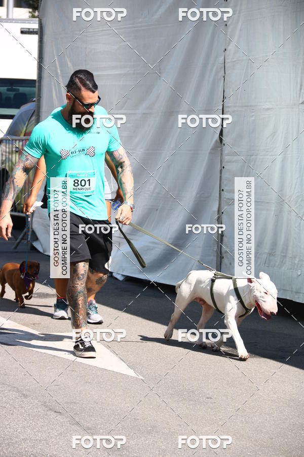 Buy your photos of the event2� Pet Run Shopping Eldorado  on Fotop
