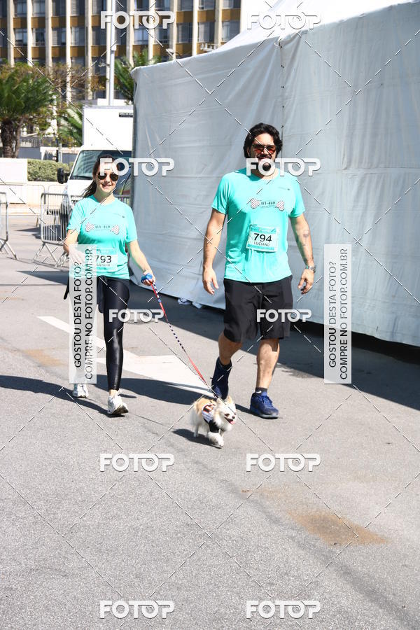 Buy your photos of the event2� Pet Run Shopping Eldorado  on Fotop