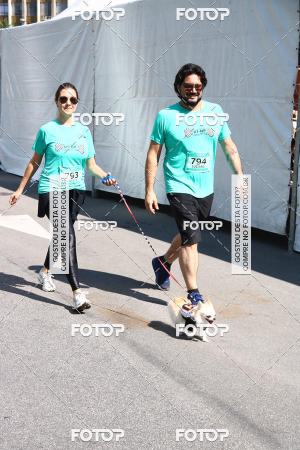 Buy your photos of the event2� Pet Run Shopping Eldorado  on Fotop