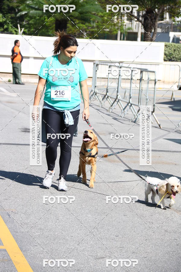 Buy your photos of the event2� Pet Run Shopping Eldorado  on Fotop