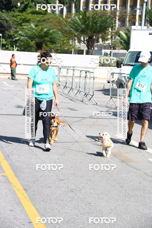 Buy your photos of the event2� Pet Run Shopping Eldorado  on Fotop
