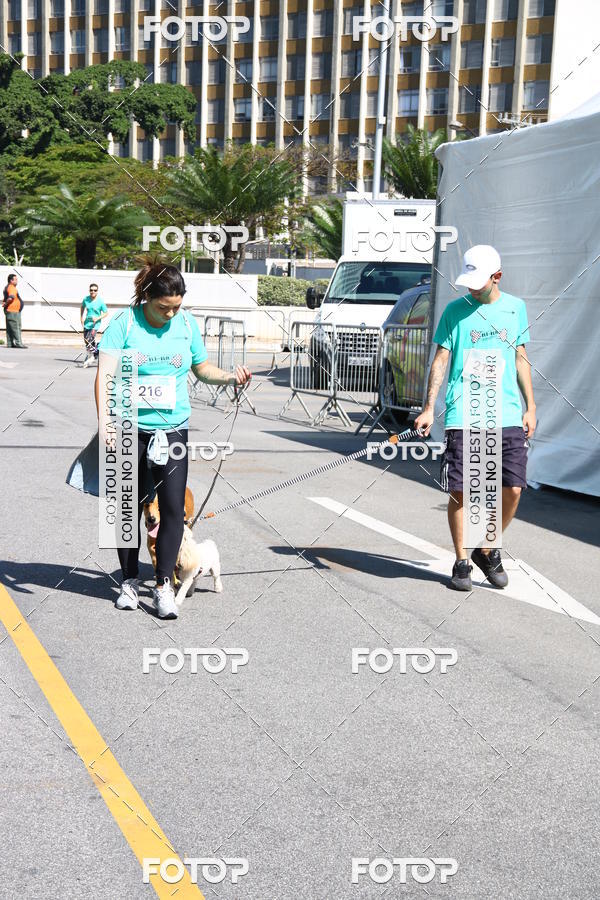 Buy your photos of the event2� Pet Run Shopping Eldorado  on Fotop
