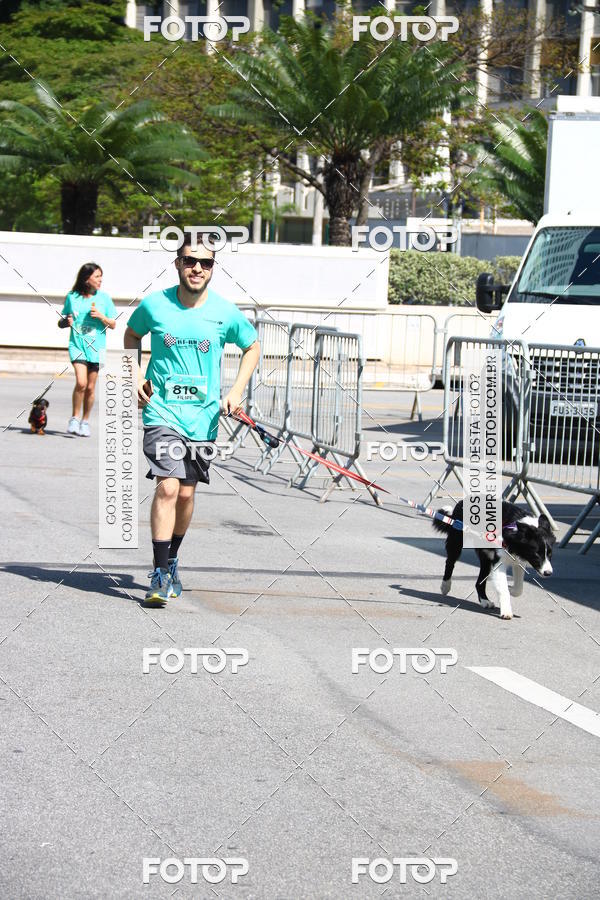 Buy your photos of the event2� Pet Run Shopping Eldorado  on Fotop