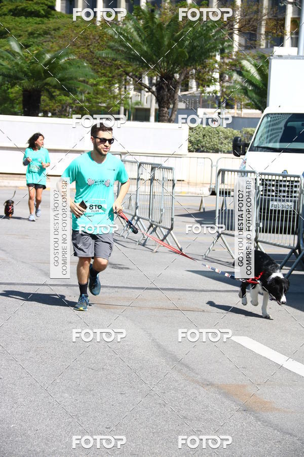 Buy your photos of the event2� Pet Run Shopping Eldorado  on Fotop
