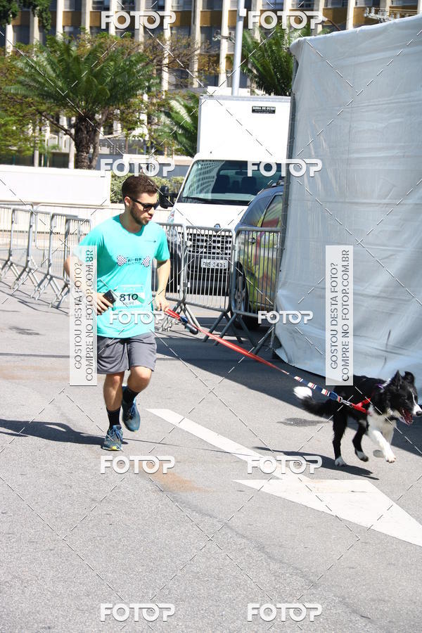 Buy your photos of the event2� Pet Run Shopping Eldorado  on Fotop