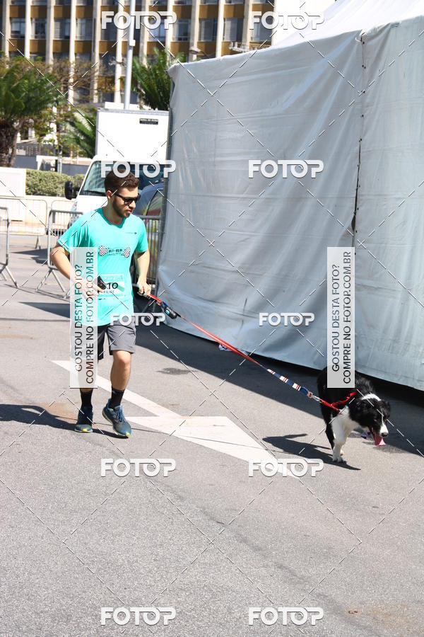 Buy your photos of the event2� Pet Run Shopping Eldorado  on Fotop