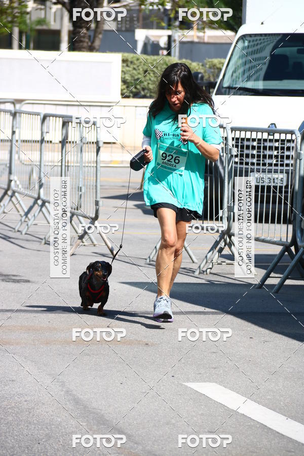 Buy your photos of the event2� Pet Run Shopping Eldorado  on Fotop