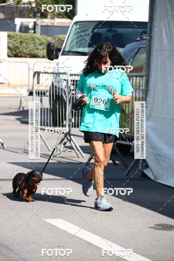 Buy your photos of the event2� Pet Run Shopping Eldorado  on Fotop