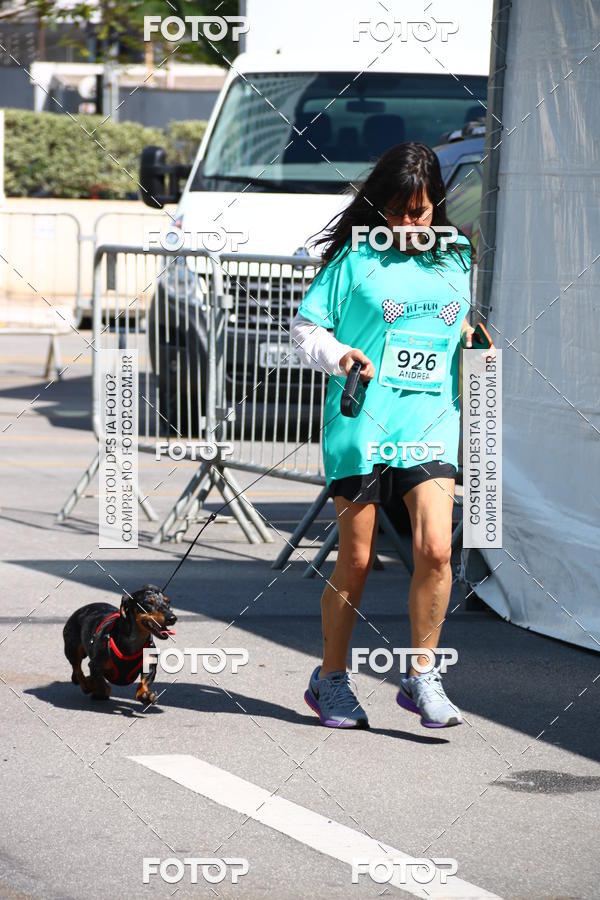 Buy your photos of the event2� Pet Run Shopping Eldorado  on Fotop