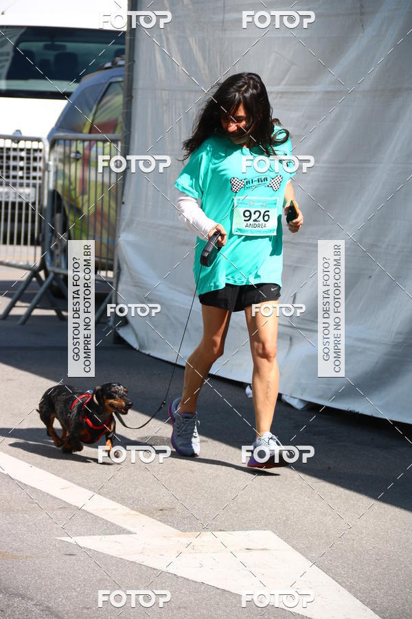 Buy your photos of the event2� Pet Run Shopping Eldorado  on Fotop