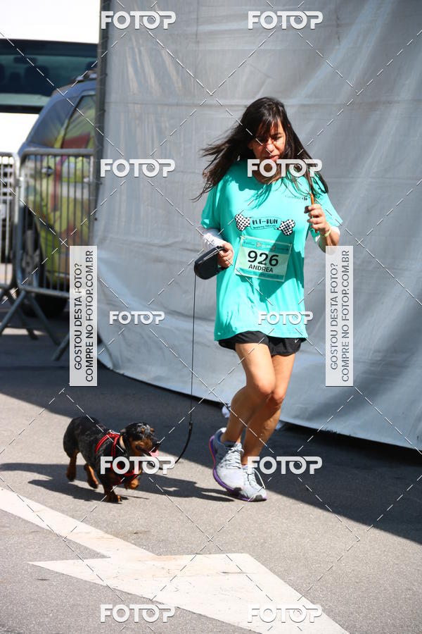Buy your photos of the event2 Pet Run Shopping Eldorado  on Fotop