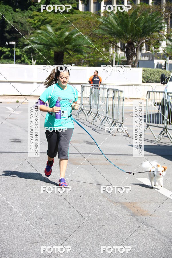 Buy your photos of the event2 Pet Run Shopping Eldorado  on Fotop