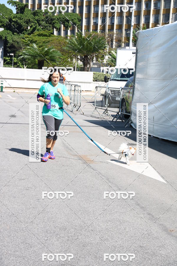 Buy your photos of the event2 Pet Run Shopping Eldorado  on Fotop