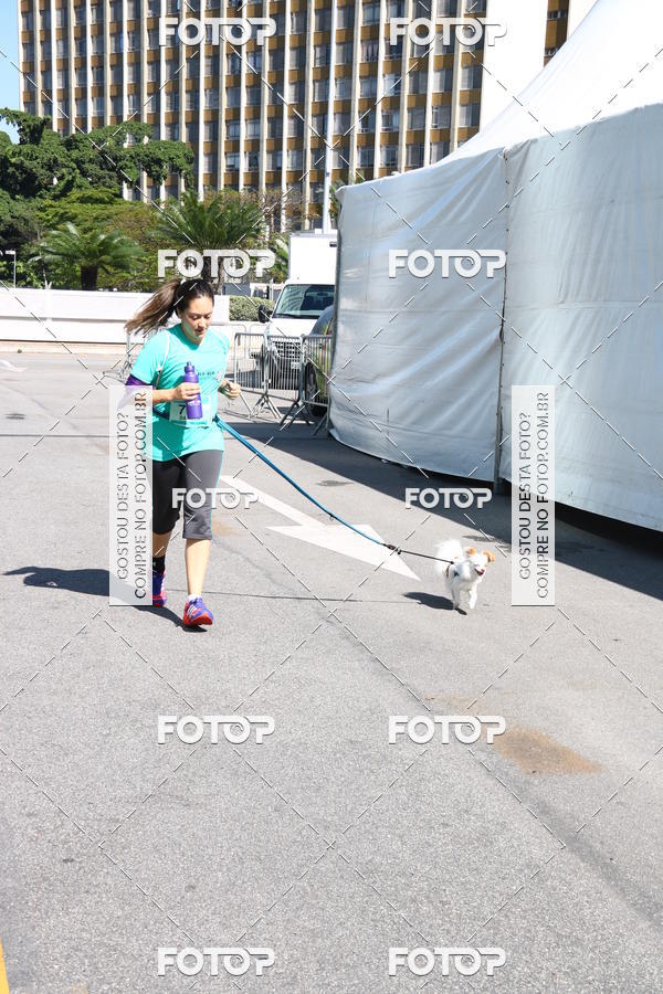 Buy your photos of the event2 Pet Run Shopping Eldorado  on Fotop