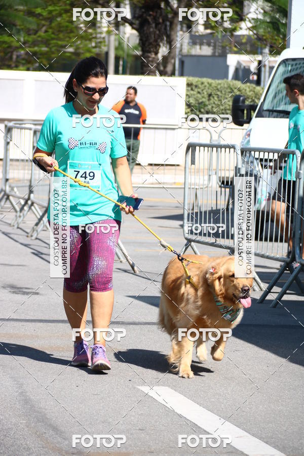 Buy your photos of the event2 Pet Run Shopping Eldorado  on Fotop