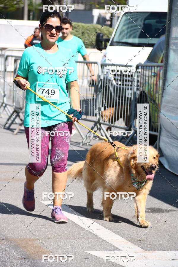 Buy your photos of the event2 Pet Run Shopping Eldorado  on Fotop