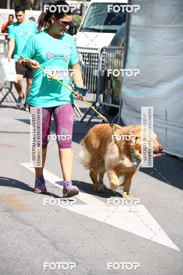 Buy your photos of the event2 Pet Run Shopping Eldorado  on Fotop