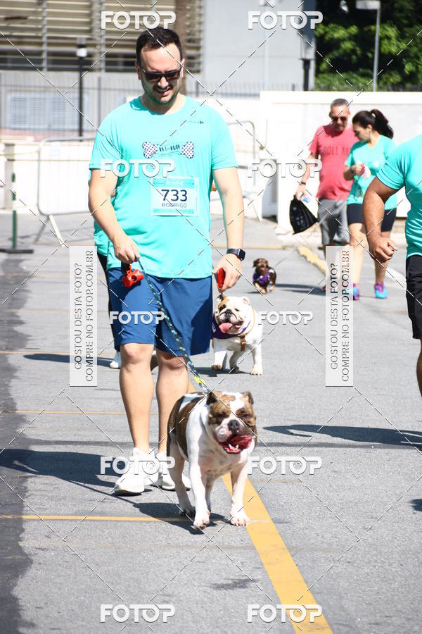Buy your photos of the event2 Pet Run Shopping Eldorado  on Fotop