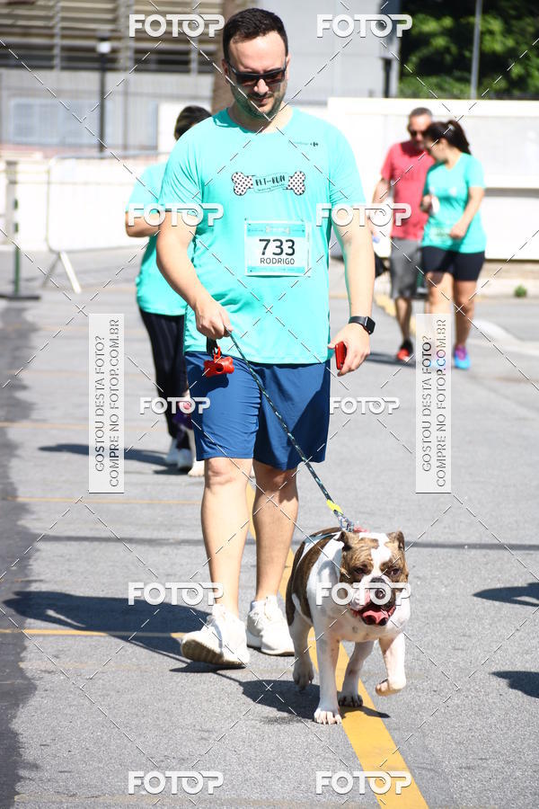 Buy your photos of the event2 Pet Run Shopping Eldorado  on Fotop