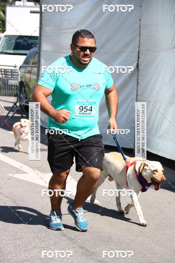 Buy your photos of the event2 Pet Run Shopping Eldorado  on Fotop