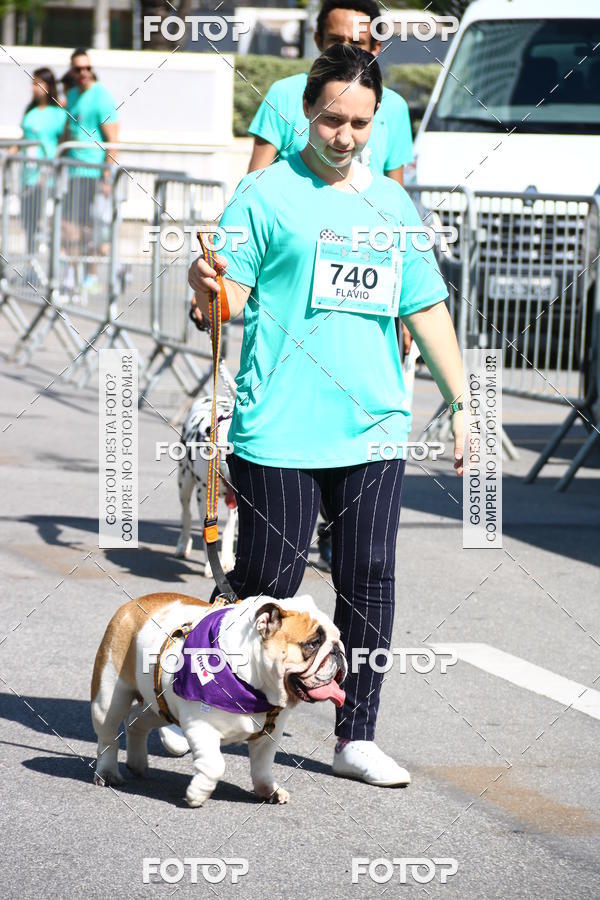 Buy your photos of the event2 Pet Run Shopping Eldorado  on Fotop