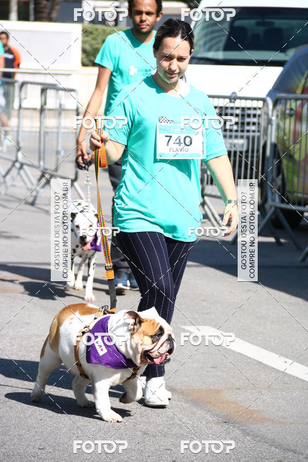 Buy your photos of the event2 Pet Run Shopping Eldorado  on Fotop