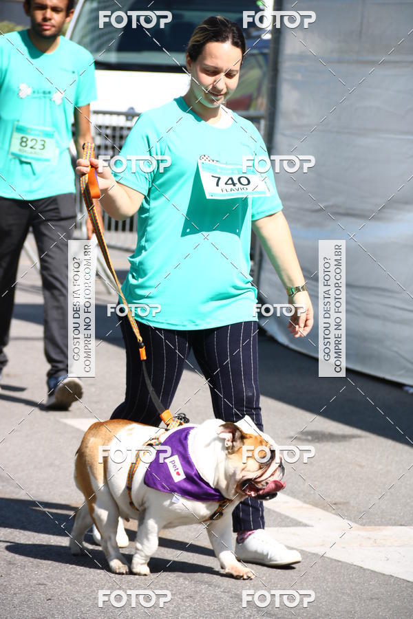 Buy your photos of the event2 Pet Run Shopping Eldorado  on Fotop
