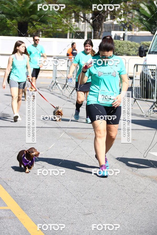Buy your photos of the event2 Pet Run Shopping Eldorado  on Fotop