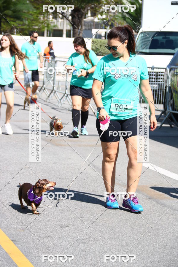 Buy your photos of the event2 Pet Run Shopping Eldorado  on Fotop