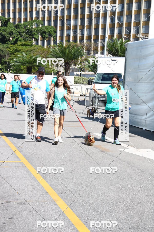 Buy your photos of the event2 Pet Run Shopping Eldorado  on Fotop