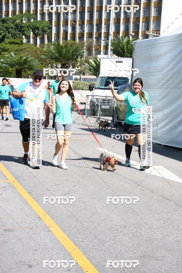 Buy your photos of the event2 Pet Run Shopping Eldorado  on Fotop