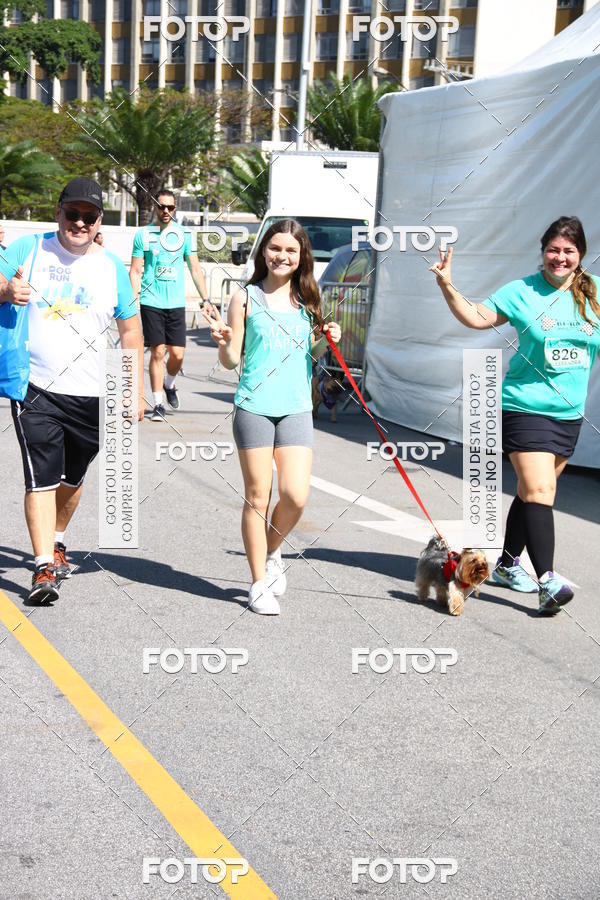 Buy your photos of the event2 Pet Run Shopping Eldorado  on Fotop