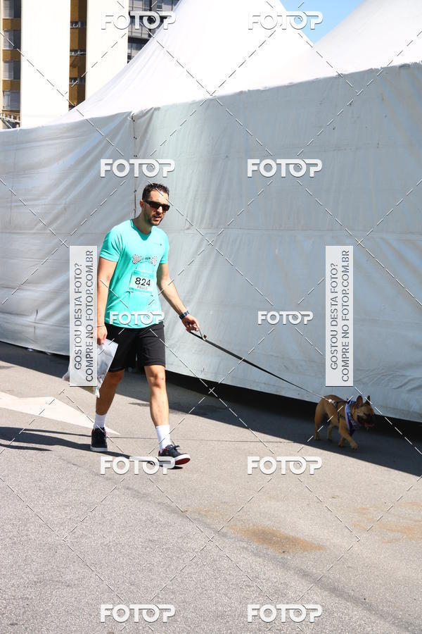 Buy your photos of the event2 Pet Run Shopping Eldorado  on Fotop