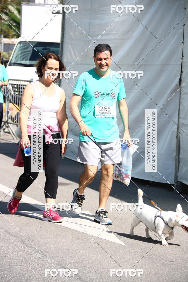 Buy your photos of the event2 Pet Run Shopping Eldorado  on Fotop