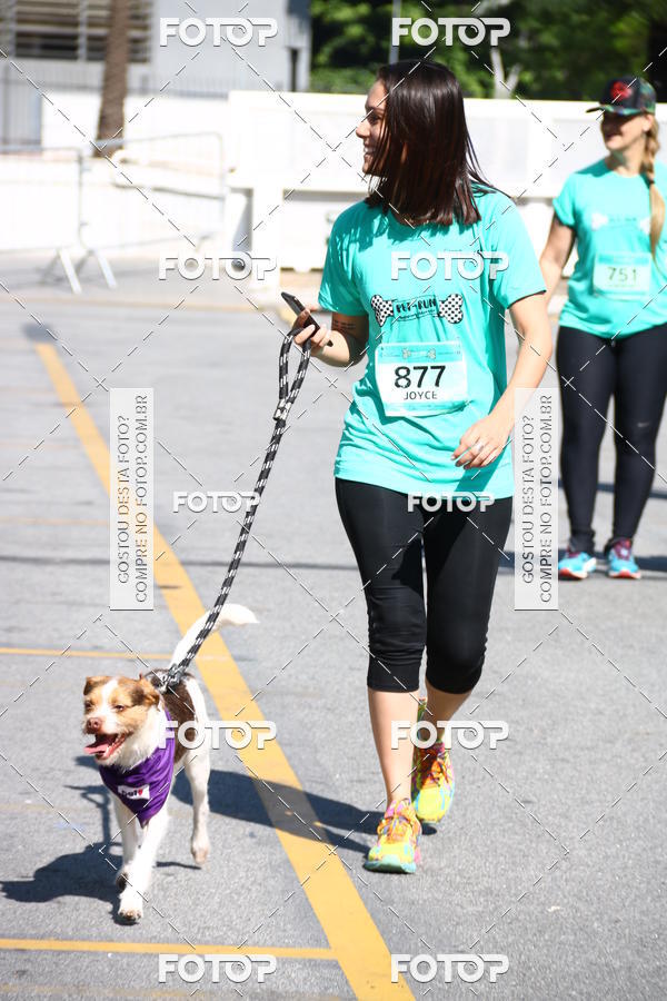 Buy your photos of the event2 Pet Run Shopping Eldorado  on Fotop