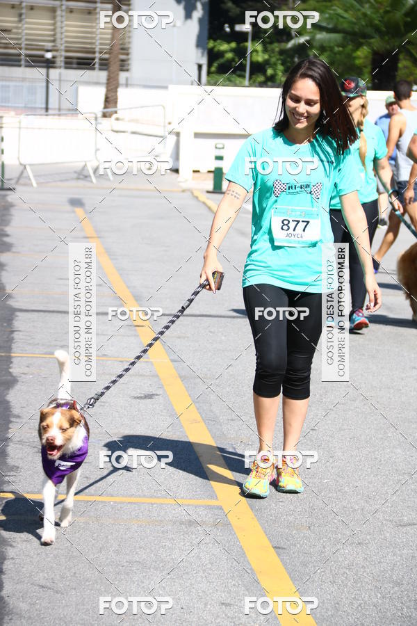 Buy your photos of the event2 Pet Run Shopping Eldorado  on Fotop