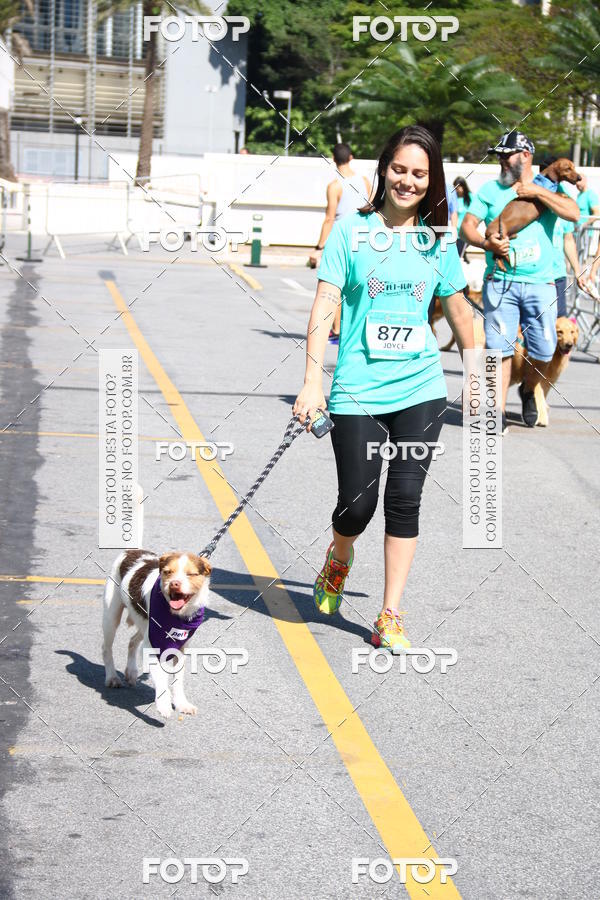 Buy your photos of the event2 Pet Run Shopping Eldorado  on Fotop